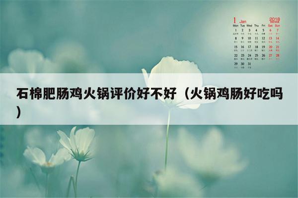 石棉肥肠鸡火锅评价好不好（火锅鸡肠好吃吗）