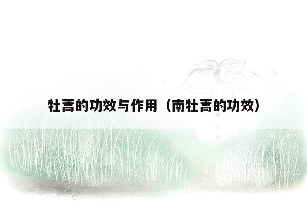 牡蒿的功效与作用（南牡蒿的功效）