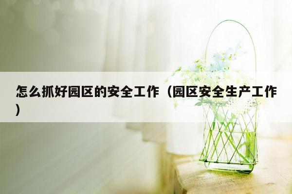怎么抓好园区的安全工作（园区安全生产工作）