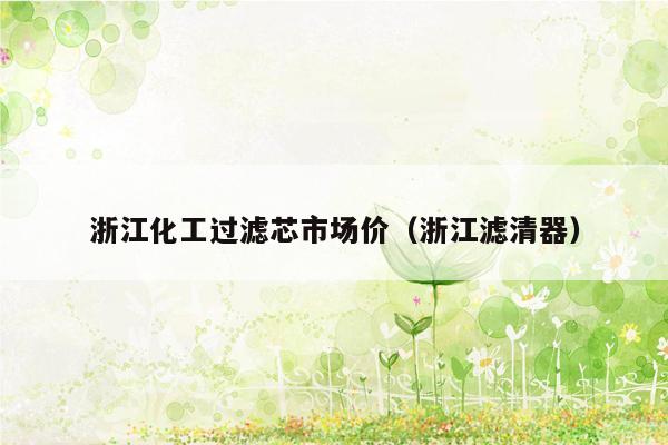 浙江化工过滤芯市场价（浙江滤清器）