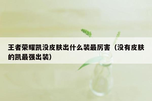 王者荣耀凯没皮肤出什么装最厉害（没有皮肤的凯最强出装）