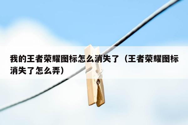 我的王者荣耀图标怎么消失了（王者荣耀图标消失了怎么弄）