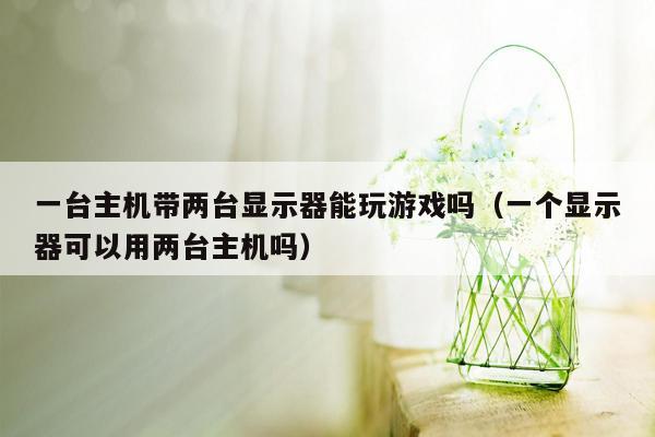 一台主机带两台显示器能玩游戏吗（一个显示器可以用两台主机吗）