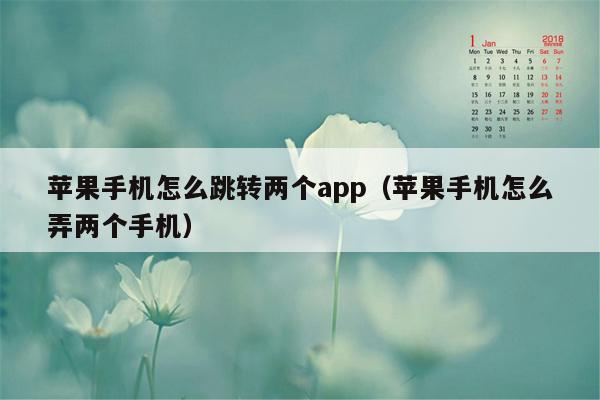苹果手机怎么跳转两个app（苹果手机怎么弄两个手机）