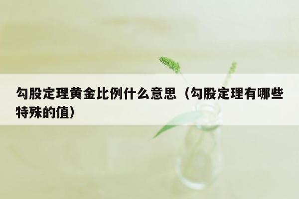 勾股定理黄金比例什么意思（勾股定理有哪些特殊的值）