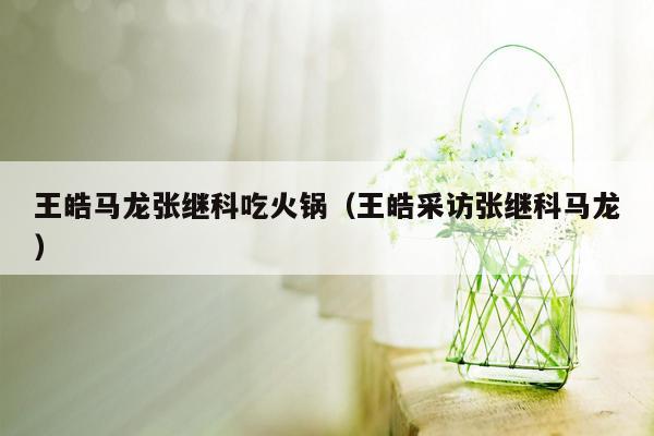 王皓马龙张继科吃火锅（王皓采访张继科马龙）