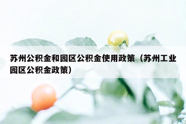 苏州公积金和园区公积金使用政策（苏州工业园区公积金政策）