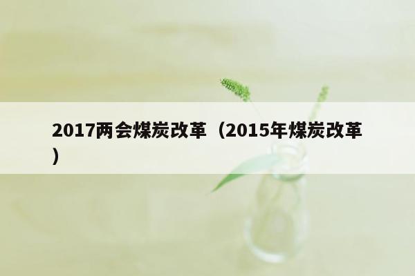 2017两会煤炭改革（2015年煤炭改革）