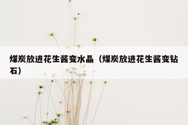 煤炭放进花生酱变水晶（煤炭放进花生酱变钻石）
