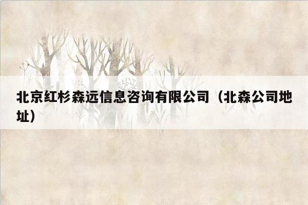 北京红杉森远信息咨询有限公司（北森公司地址）