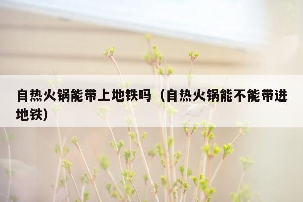 自热火锅能带上地铁吗（自热火锅能不能带进地铁）