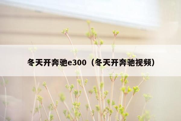 冬天开奔驰e300（冬天开奔驰视频）