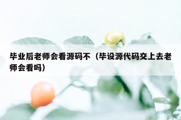 毕业后老师会看源码不（毕设源代码交上去老师会看吗）