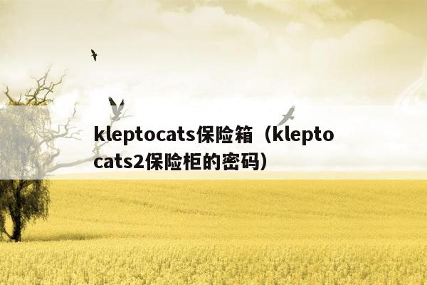 kleptocats保险箱（kleptocats2保险柜的密码）