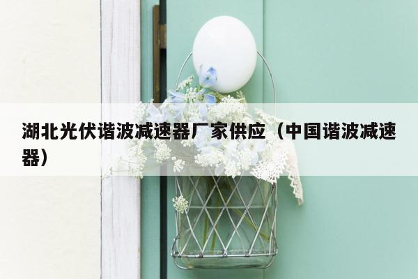 湖北光伏谐波减速器厂家供应（中国谐波减速器）