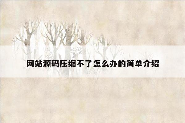 网站源码压缩不了怎么办的简单介绍