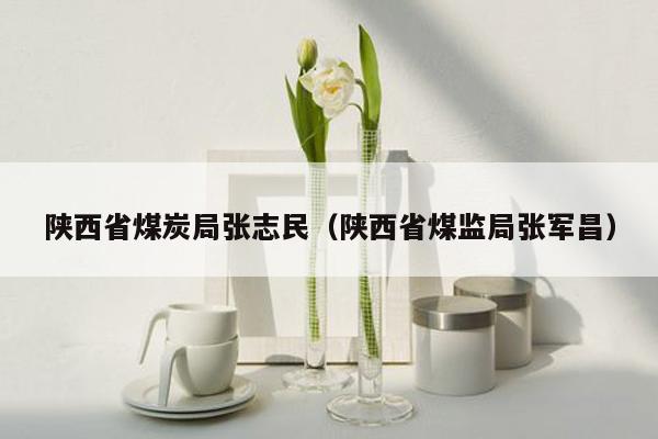 陕西省煤炭局张志民（陕西省煤监局张军昌）