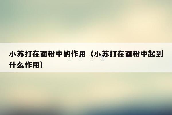小苏打在面粉中的作用（小苏打在面粉中起到什么作用）