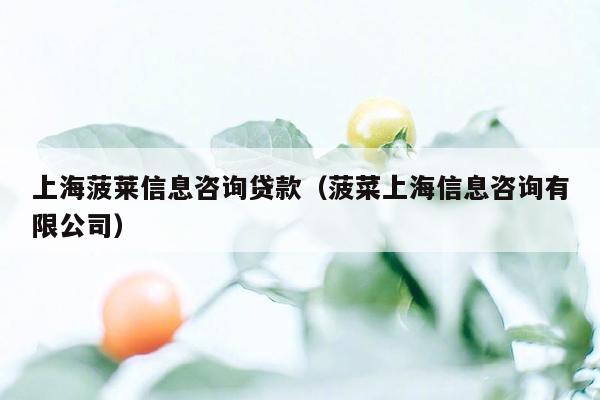 上海菠莱信息咨询贷款（菠菜上海信息咨询有限公司）