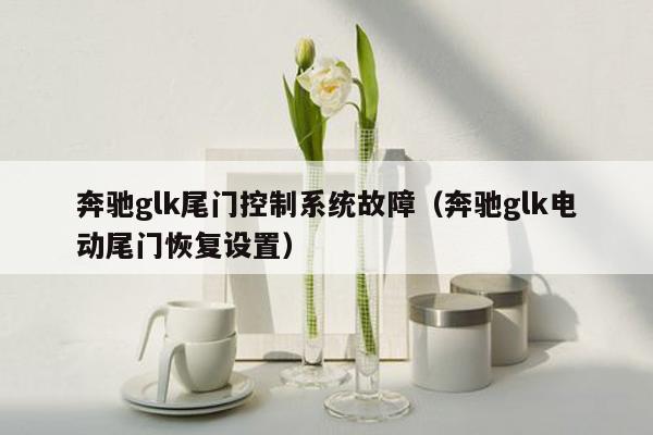 奔驰glk尾门控制系统故障（奔驰glk电动尾门恢复设置）