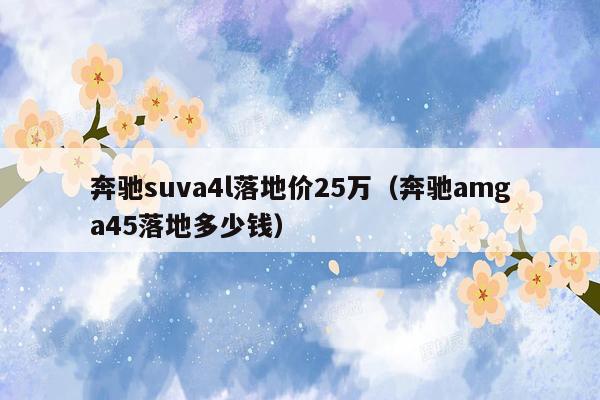 奔驰suva4l落地价25万（奔驰amga45落地多少钱）