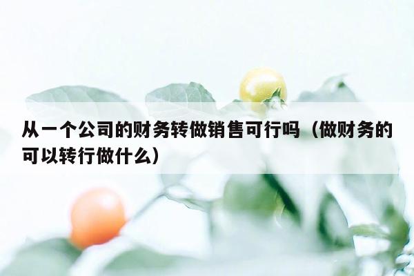 从一个公司的财务转做销售可行吗（做财务的可以转行做什么）