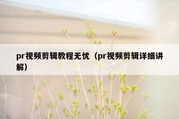 pr视频剪辑教程无忧（pr视频剪辑详细讲解）