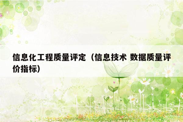 信息化工程质量评定（信息技术 数据质量评价指标）