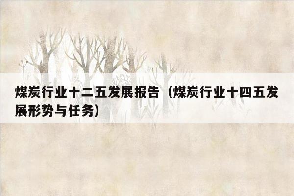煤炭行业十二五发展报告（煤炭行业十四五发展形势与任务）