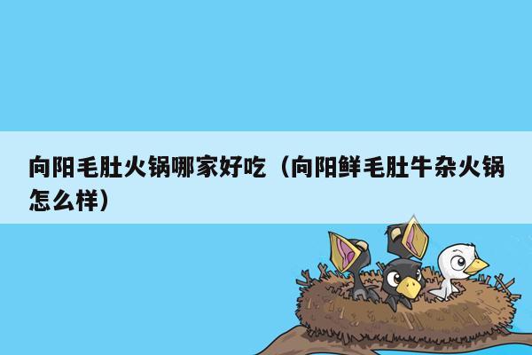 向阳毛肚火锅哪家好吃（向阳鲜毛肚牛杂火锅怎么样）