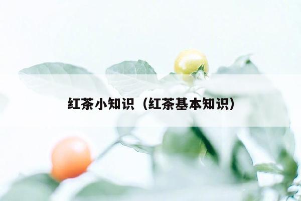 红茶小知识（红茶基本知识）