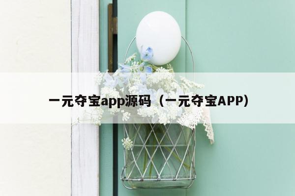 一元夺宝app源码（一元夺宝APP）