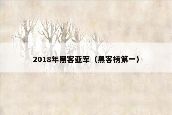 2018年黑客亚军（黑客榜第一）