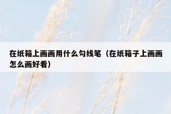 在纸箱上画画用什么勾线笔（在纸箱子上画画怎么画好看）