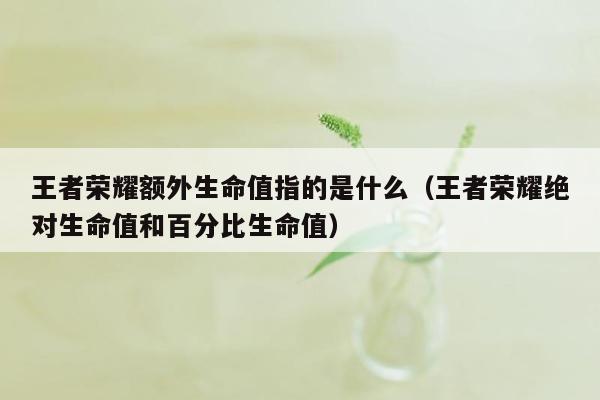 王者荣耀额外生命值指的是什么（王者荣耀绝对生命值和百分比生命值）