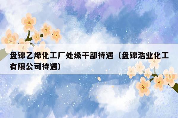 盘锦乙烯化工厂处级干部待遇（盘锦浩业化工有限公司待遇）