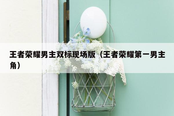 王者荣耀男主双标现场版（王者荣耀第一男主角）