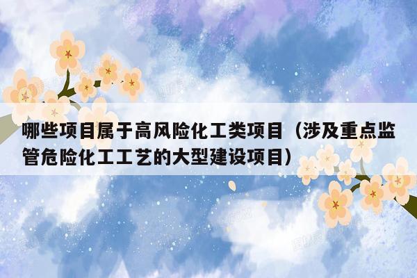 哪些项目属于高风险化工类项目（涉及重点监管危险化工工艺的大型建设项目）