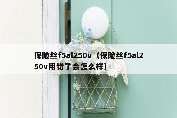 保险丝f5al250v（保险丝f5al250v用错了会怎么样）