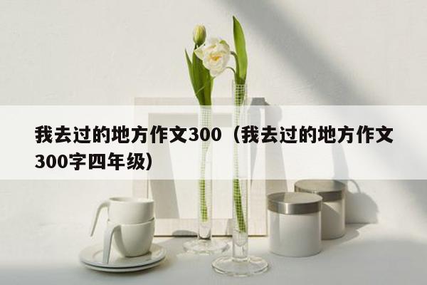 我去过的地方作文300（我去过的地方作文300字四年级）