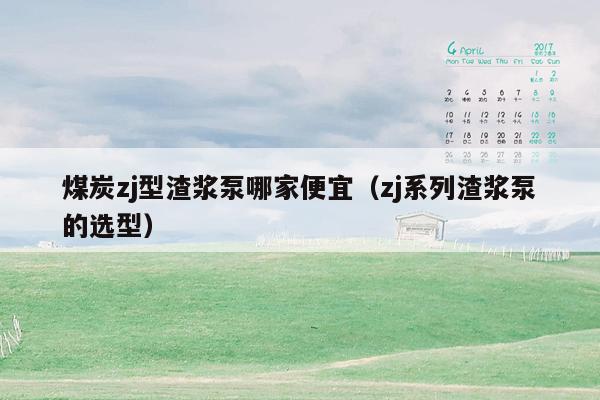 煤炭zj型渣浆泵哪家便宜（zj系列渣浆泵的选型）