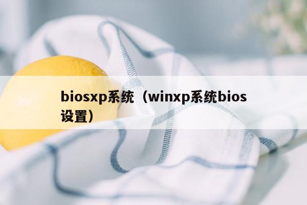 biosxp系统（winxp系统bios设置）