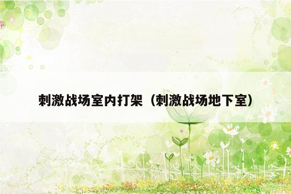 刺激战场室内打架（刺激战场地下室）