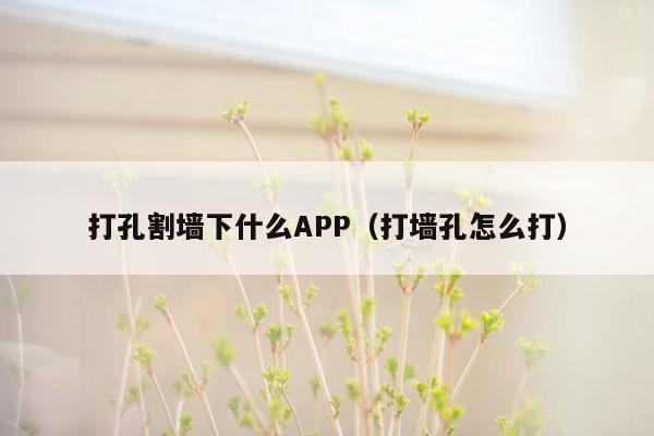 打孔割墙下什么APP（打墙孔怎么打）