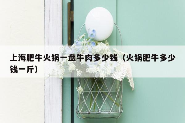上海肥牛火锅一盘牛肉多少钱（火锅肥牛多少钱一斤）