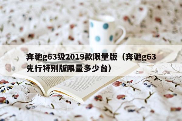 奔驰g63级2019款限量版（奔驰g63先行特别版限量多少台）