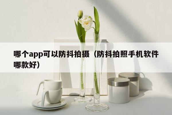 哪个app可以防抖拍摄（防抖拍照手机软件哪款好）