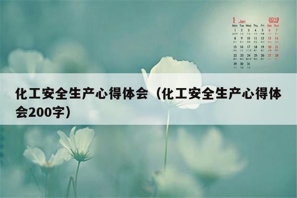 化工安全生产心得体会（化工安全生产心得体会200字）