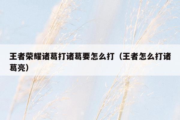 王者荣耀诸葛打诸葛要怎么打（王者怎么打诸葛亮）