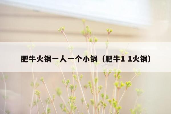 肥牛火锅一人一个小锅（肥牛1 1火锅）